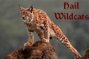 Hail Wildcats logo
