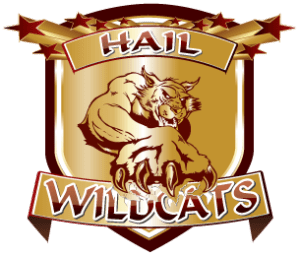 HAIL-WILDCATS_GOLD Logo